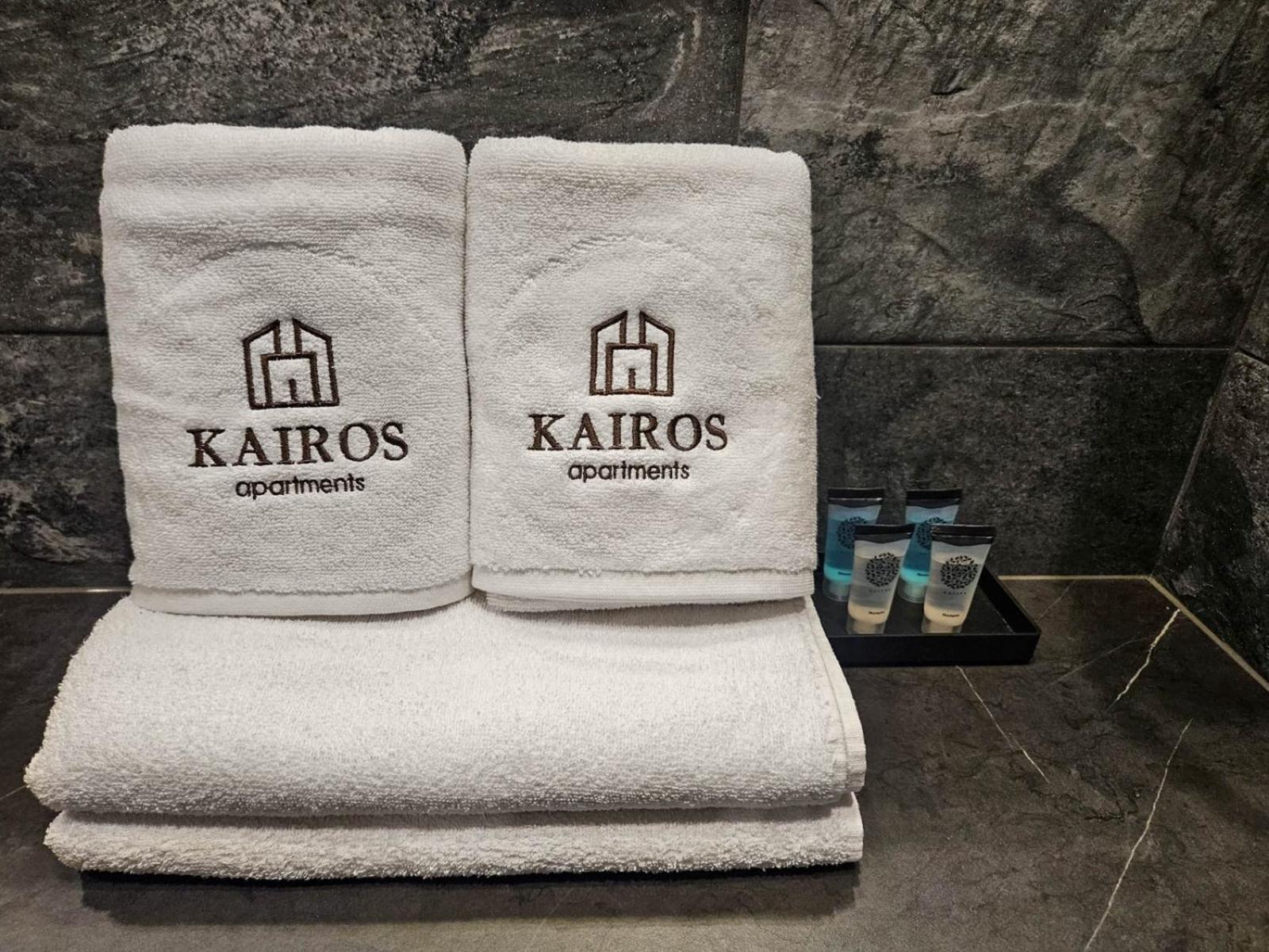 Kairos Apartments -Tower II Premium - Darmowy Parking, Silownia, Sauna - Scisle Centrum Katowice Eksteriør bilde